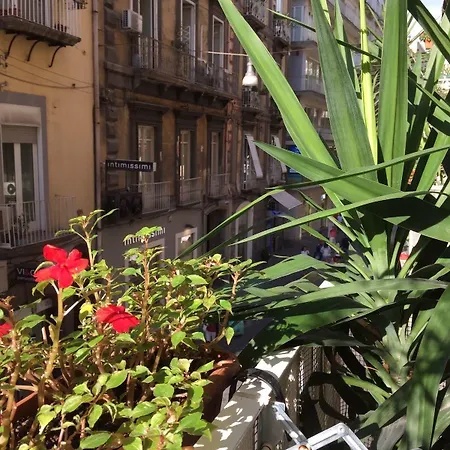 Hotel Plebiscito Naples